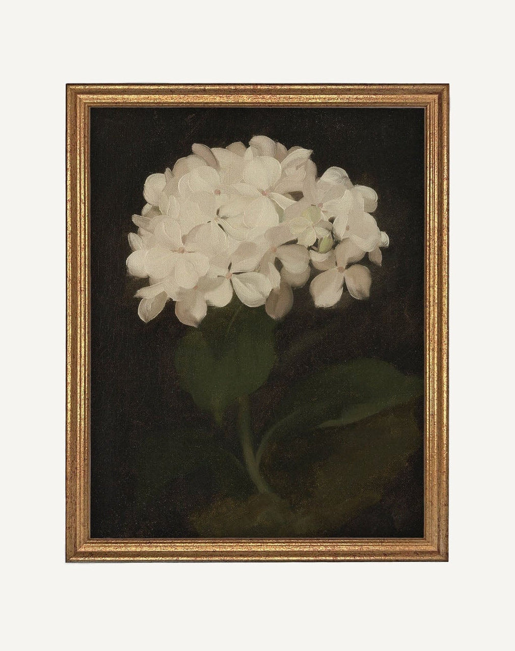 Framed Canvas Botanical White Hydrangea