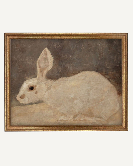 Vintage Framed Rabbit