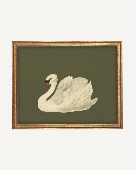 Vintage Framed Swan Green