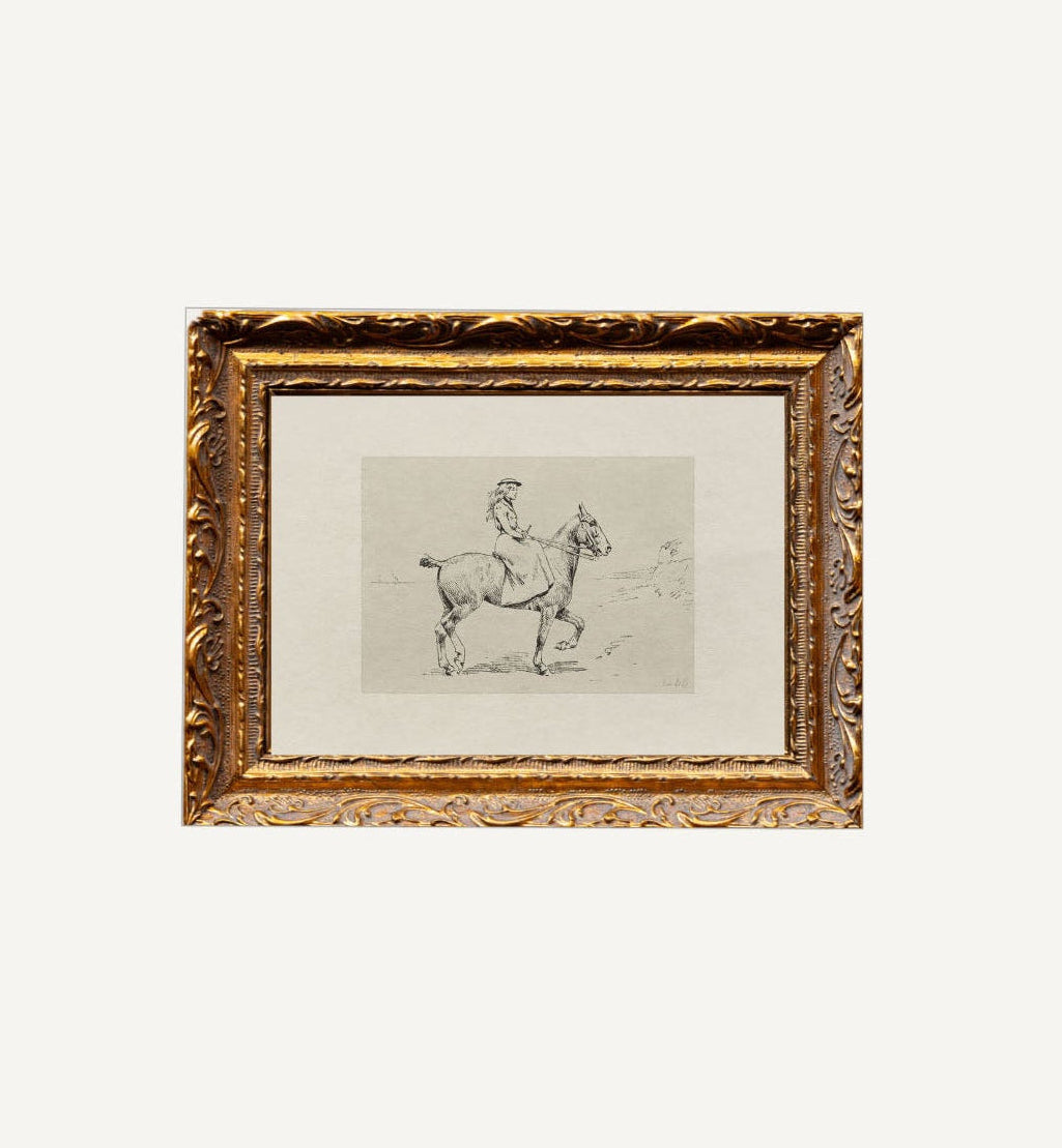 Equestrian Sketch Framed Art