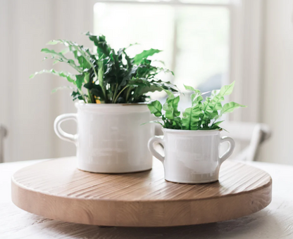 White Italian Olive Jar Planter